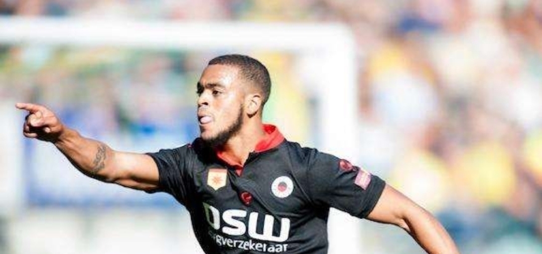 示了效果 示了效果