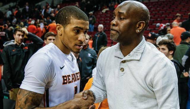 仅展示了球 仅展示了球